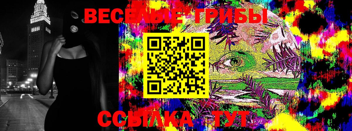 как найти закладки  Вход с VPN  Валуйки  Псилоцибиновые грибы мухоморы 